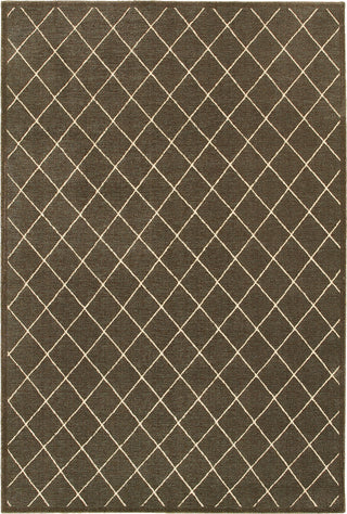 Oriental Weavers Ellerson 090N4 Brown/Ivory Area Rug main image featured 