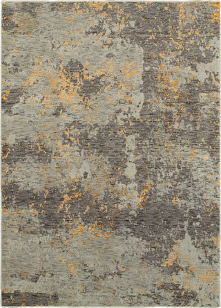 Oriental Weavers Evolution 8025B Grey/ Gold Area Rug main image featured