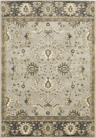 Oriental Weavers Florence 4928C Blue/ Brown Area Rug Main Image