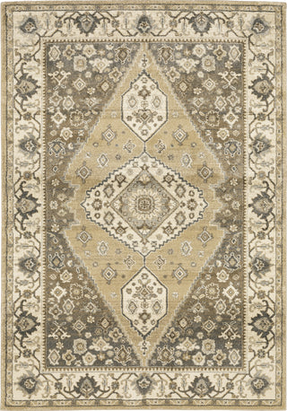 Oriental Weavers Florence 661I6 Beige/ Grey Area Rug Main Image 