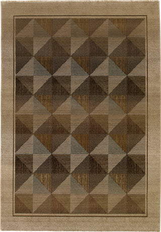 Oriental Weavers Generations 252J1 Beige/Green Area Rug main image