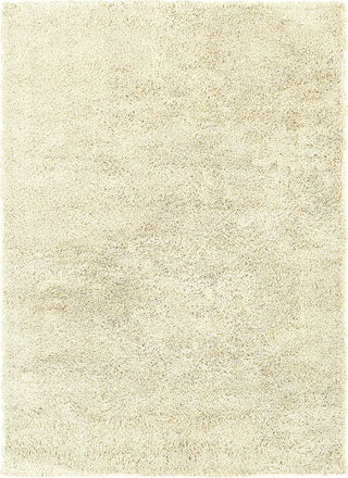 Oriental Weavers Impressions 82800 Ivory/Ivory Area Rug main image