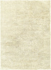 Oriental Weavers Impressions 82800 Ivory/Ivory Area Rug main image