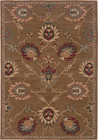 Oriental Weavers Infinity 2227D Brown/Beige Area Rug main image