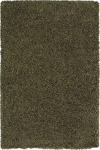 Oriental Weavers Loft 520F4 Green/Brown Area Rug main image