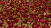Oriental Weavers Loft 520O4 Red/Gold Area Rug Main
