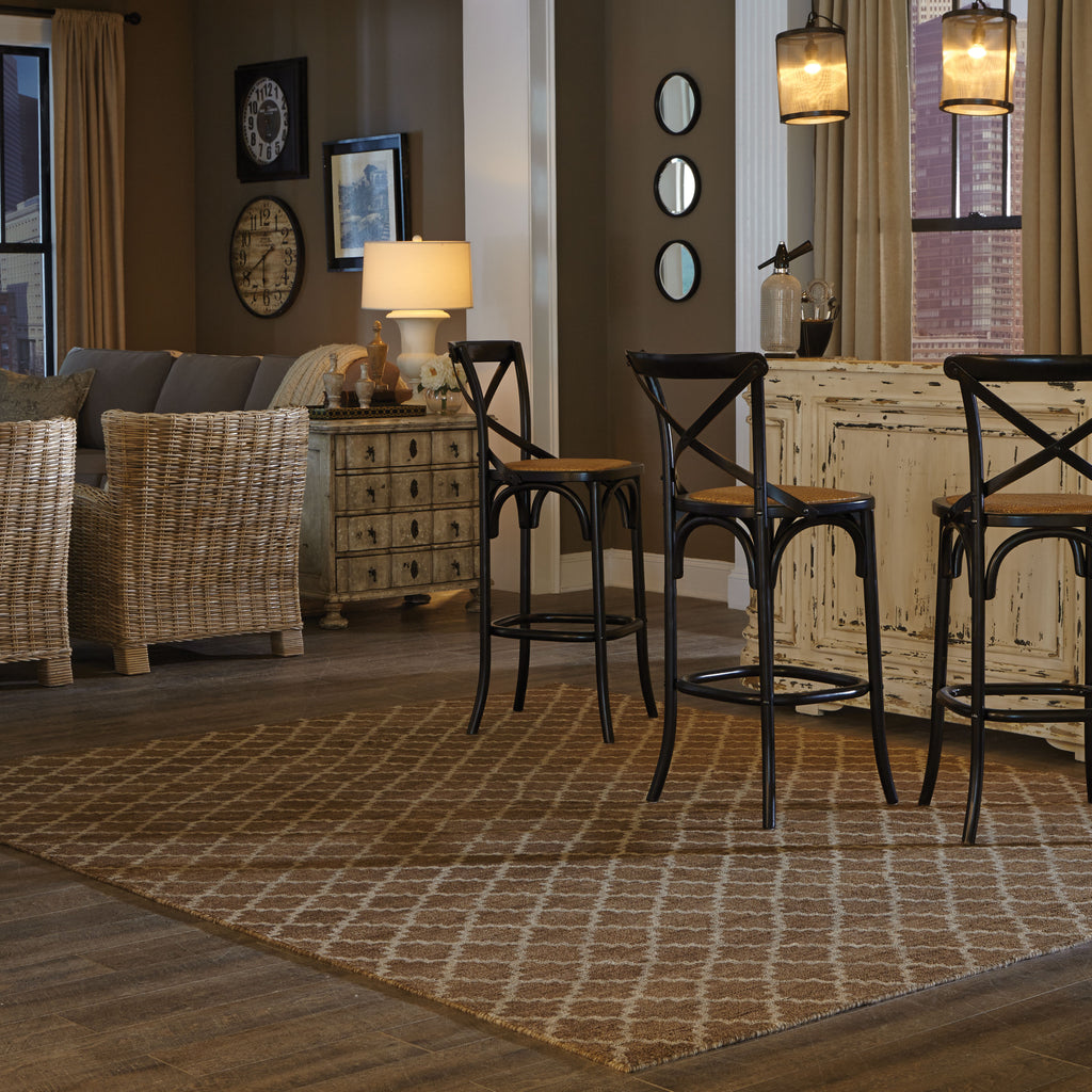 Tommy Bahama Maddox 56503 Brown Area Rug Roomshot Feature