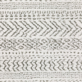 Oriental Weavers Montecito 4929E White/Grey Area Rug Close-up Image