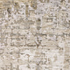 Oriental Weavers Nebulous 001H9 Beige/Grey Area Rug Close-up Image