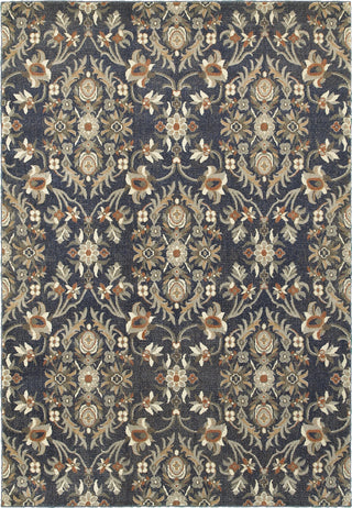 Oriental Weavers Pasha 6548S Blue/ Brown Area Rug main image