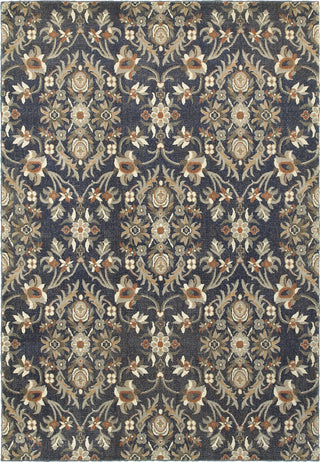 Oriental Weavers Pasha 6548S Blue/ Brown Area Rug Main