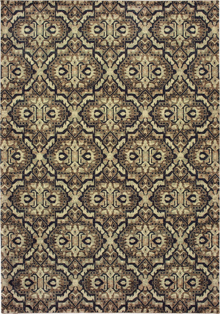 Oriental Weavers Raleigh 4927K Brown/Navy Area Rug main image Featured