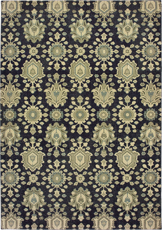 Oriental Weavers Raleigh 533Q5 Navy/Ivory Area Rug main image