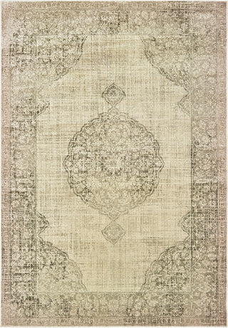 Oriental Weavers Raleigh 099D5 Ivory Grey Area Rug main image Featured