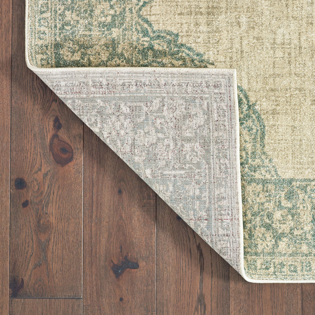 Oriental Weavers Raleigh 099J5 Ivory Blue Area Rug Incredible Rugs