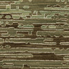 Oriental Weavers Reed RE09A Beige/Green Area Rug Close-up Image