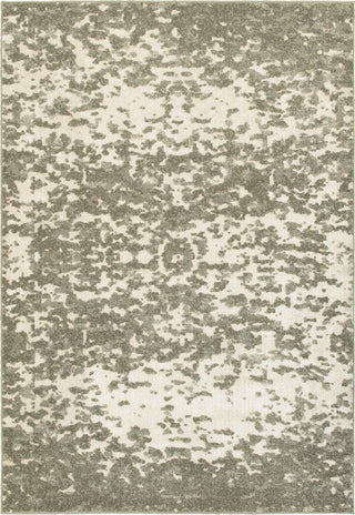 Oriental Weavers Rowan 190E4 Ivory/ Grey Area Rug main image Featured