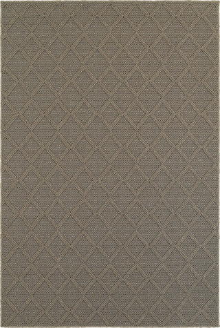 Oriental Weavers Santa Rosa 2331Y Grey/ Grey Area Rug main image