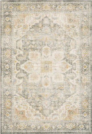 Oriental Weavers Savoy 28103 Grey/ Gold Area Rug Main Image