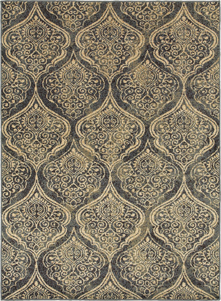 Oriental Weavers Stratton 4960C Blue/Ivory Area Rug main image