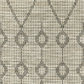 Oriental Weavers Tortuga TR04A Beige/Black Area Rug Close-up Image