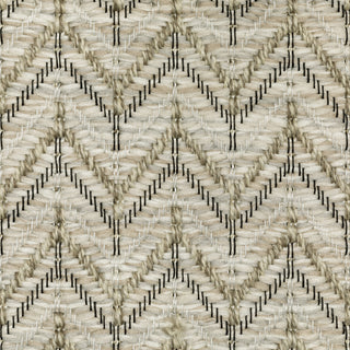 Oriental Weavers Tortuga TR09A Beige/Black Area Rug Close-up Image