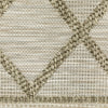 Oriental Weavers Tortuga TR11A Beige/Beige Area Rug Close-up Image