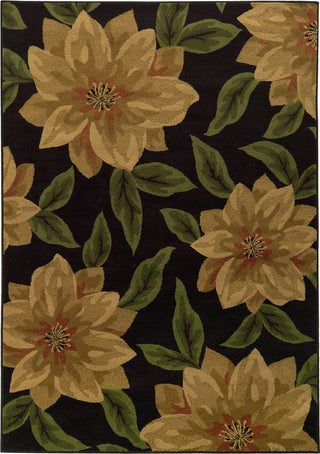 Tommy Bahama Villa 5843A Black Area Rug Main