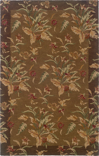 Oriental Weavers Windsor 23101 Tan/Brown Area Rug main image Featured