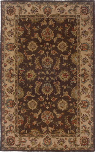 Oriental Weavers Windsor 23110 Brown/Beige Area Rug main image