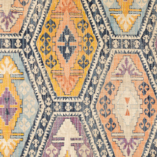 Oriental Weavers Xanadu 003B6 Blue/Multi Area Rug Close-up Image