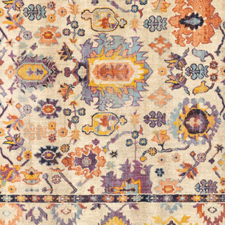 Oriental Weavers Xanadu 5502U Beige/Multi Area Rug Close-up Image