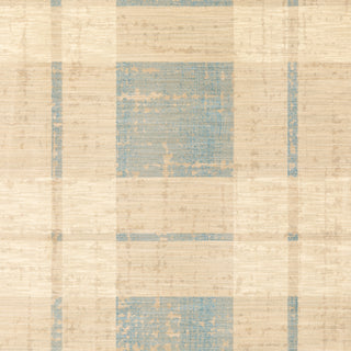 Oriental Weavers Xanadu 562L6 Blue/Beige Area Rug Close-up Image