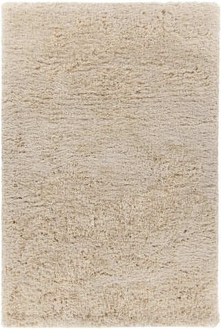 Chandra Osim OSI-35101 Beige Area Rug main image