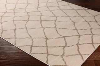 Surya Oslo OSL-2311 Area Rug Corner Shot