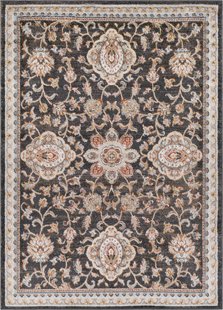 Surya Oushak OUS-2309 Area Rug main image