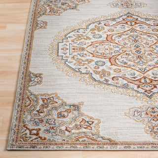 Surya Oushak OUS-2313 Area Rug Detail Image