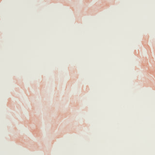 Outdoor Pillows Printed Corals by Nourison 
