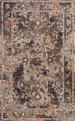 Rizzy Ovation OVA101 Brown/Beige Area Rug