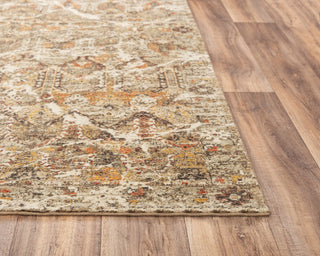 Rizzy Ovation OVA104 Brown/Beige Area Rug