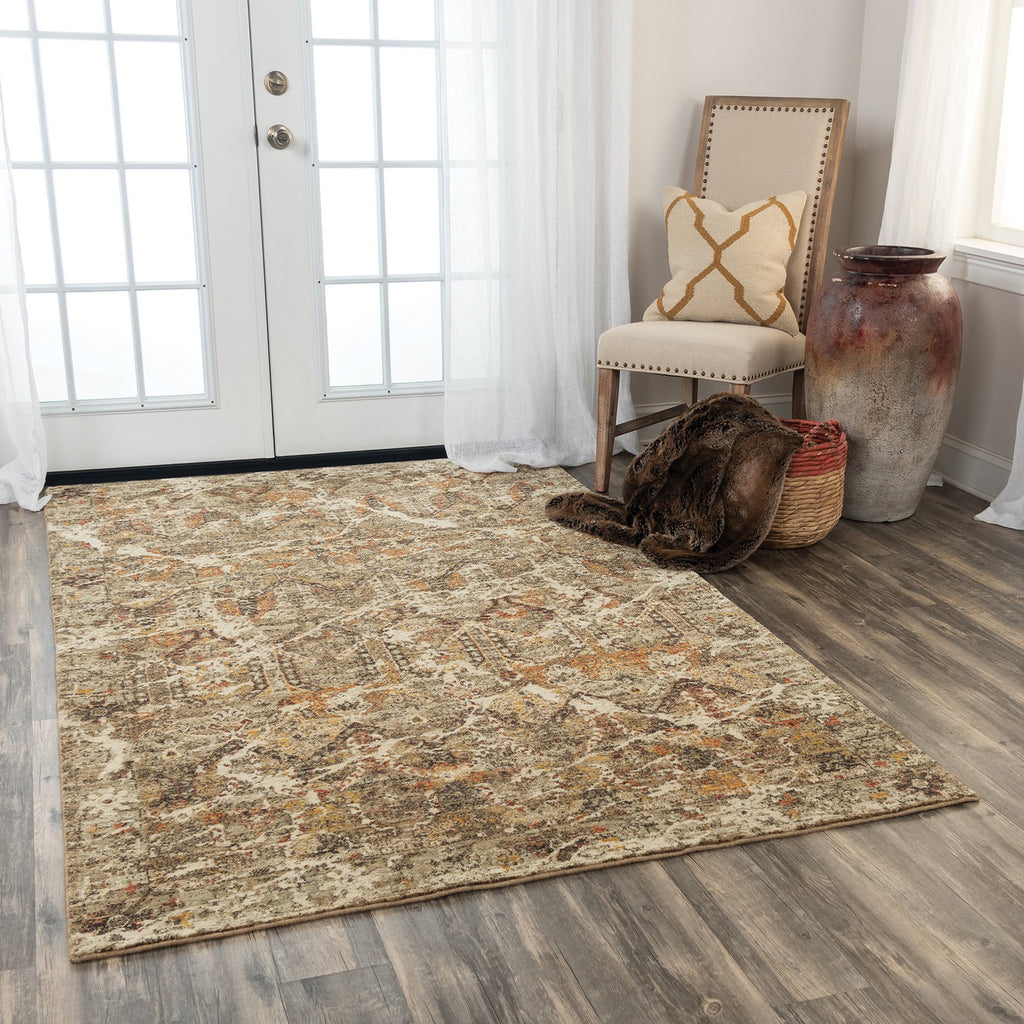 Rizzy Ovation OVA104 Brown/Beige Area Rug Room Image Feature