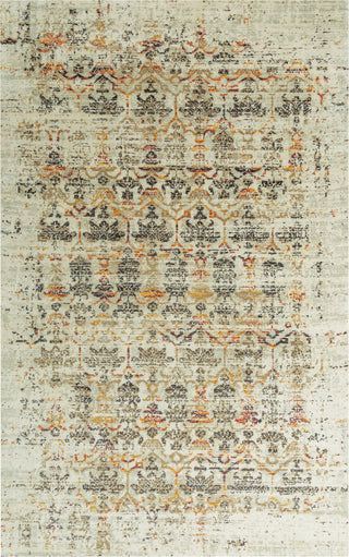 Rizzy Ovation OVA109 Beige/Brown Area Rug