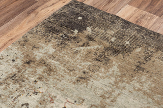 Rizzy Ovation OVA110 Beige/Brown Area Rug