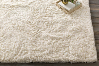 Surya Pado PAD-1000 Ivory Area Rug by Papilio 