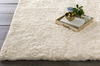 Surya Pado PAD-1000 Ivory Area Rug by Papilio 