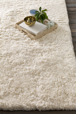 Surya Pado PAD-1000 Ivory Area Rug by Papilio 