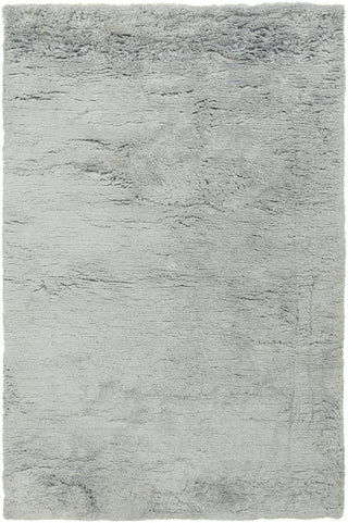 Surya Pado PAD-1007 Area Rug by Papilio main image