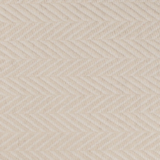 Chandra Paisley PAI-47300 Area Rug Close Up Feature