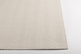 Chandra Paisley PAI-47300 Area Rug Corner Shot