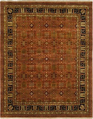 Ancient Boundaries Palanquin PAL-14 Area Rug main image